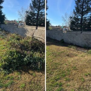 Green Waste Removal In Cresleigh Springs, Rocklin